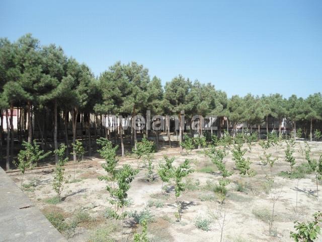 Satılır, həyət evi / bağ, 10 otaqlı, 1000 m², Xəzər r.