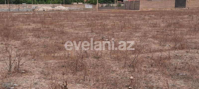 Satılır, torpaq, 6 sot, Xaçmaz