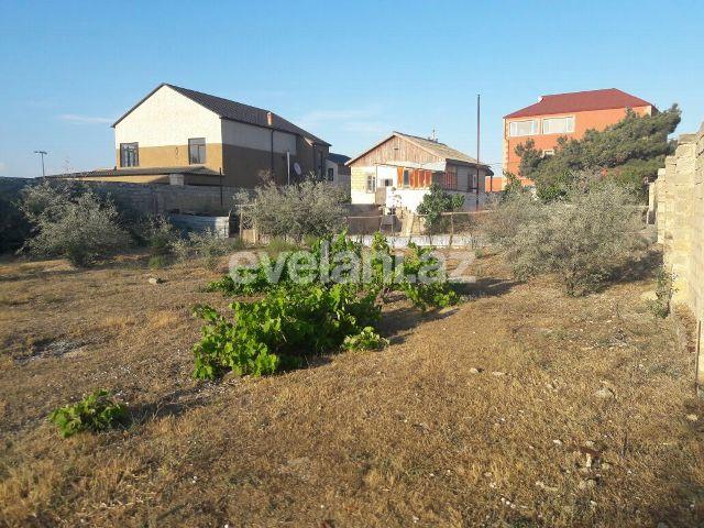 Sale, land, 30 ar, Mardakan d.