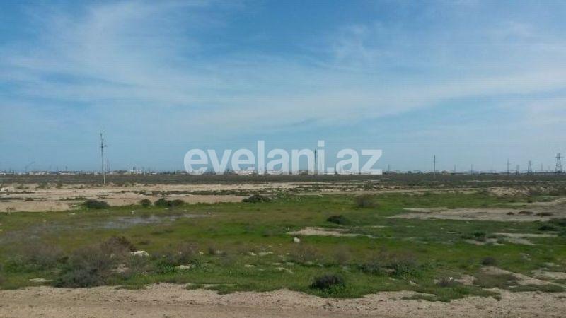 Satılır, torpaq, 100 sot, Hökməli q.