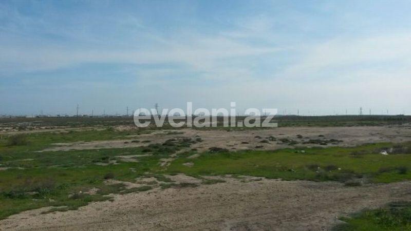 Satılır, torpaq, 100 sot, Hökməli q.