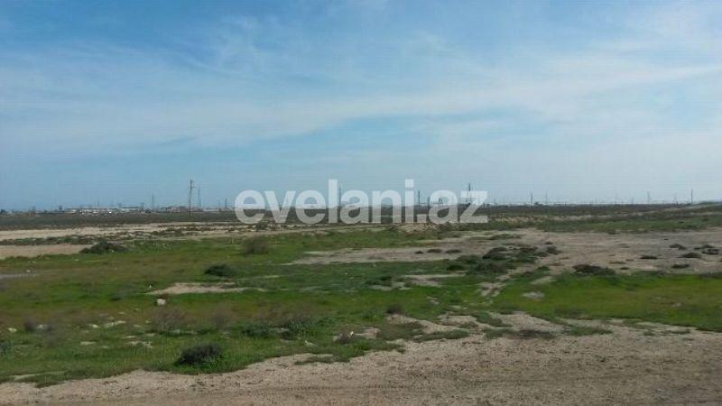 Satılır, torpaq, 100 sot, Hökməli q.