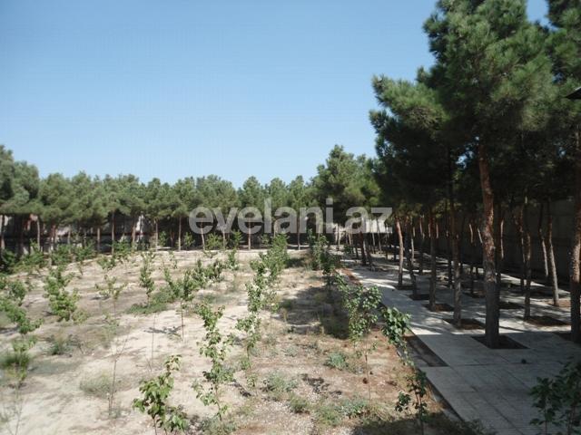 Sale, villa, 10 room, 1000 m², Shuvalan d.