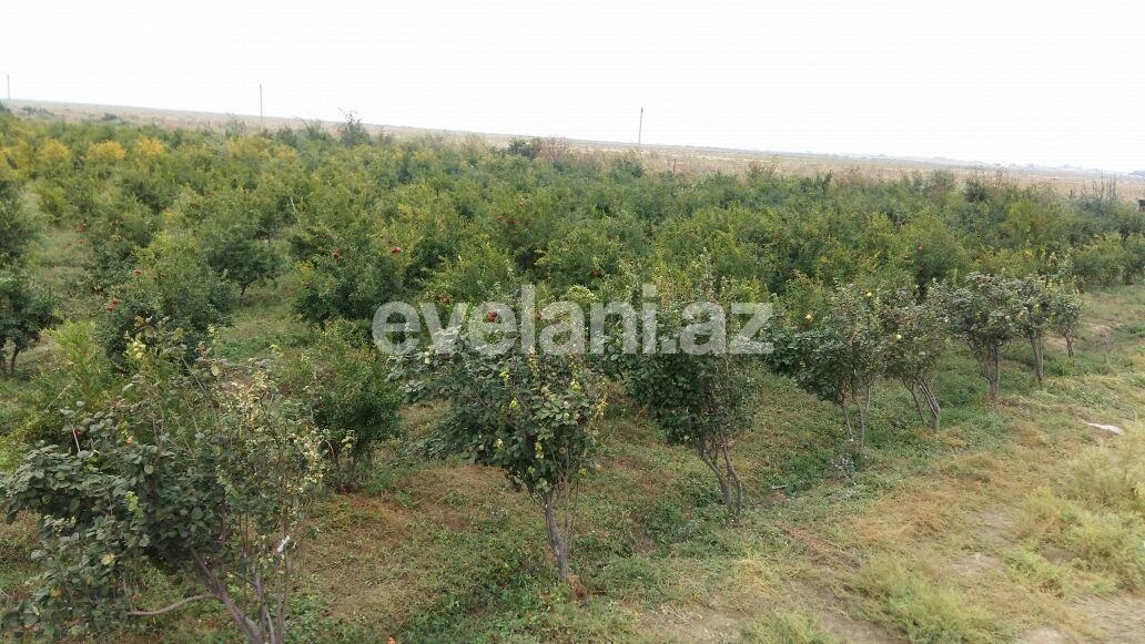 Sale, land, 200 ar, Dede Gorgud d.