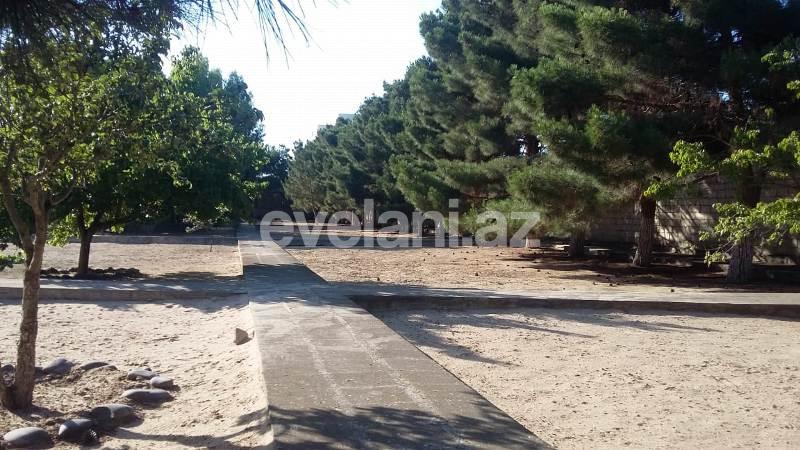 Satılır, torpaq, 550 sot, Mərdəkan q.