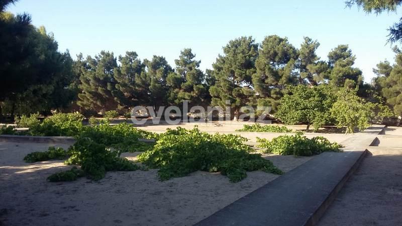 Satılır, torpaq, 550 sot, Mərdəkan q.