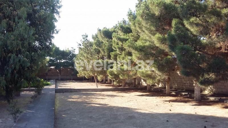 Satılır, torpaq, 550 sot, Mərdəkan q.