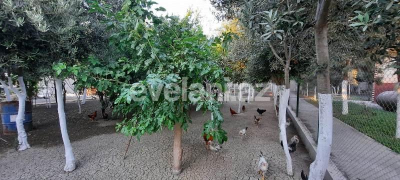 Sale, garden / house, 6 room, 550 m², Khazar r.
