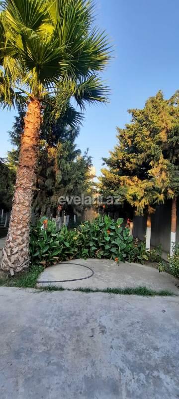 Sale, garden / house, 6 room, 550 m², Khazar r.