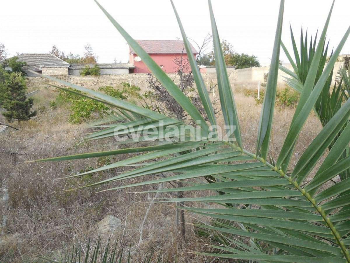 Продаётся, участок, 12 сот, Сабунчи p.