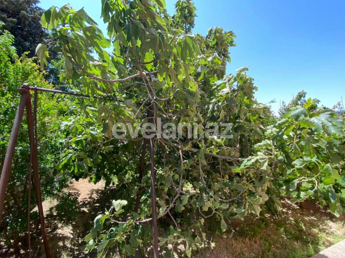 Satılır, villa, 12 otaqlı, 880 m², Elmlər Akademiyası m.