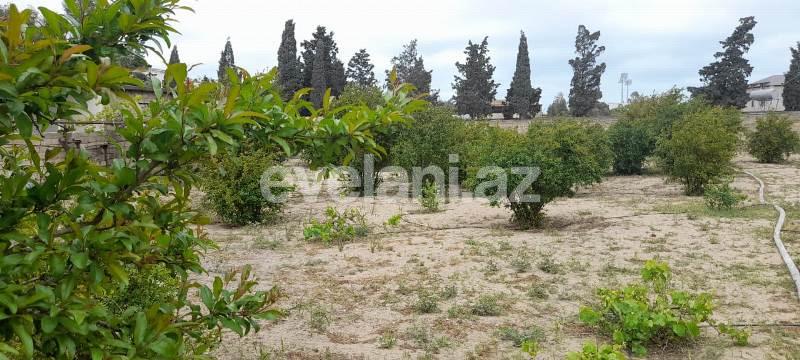 Satılır, torpaq, 14 sot, Şüvəlan q.