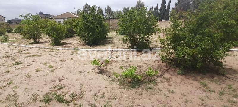 Satılır, torpaq, 14 sot, Şüvəlan q.