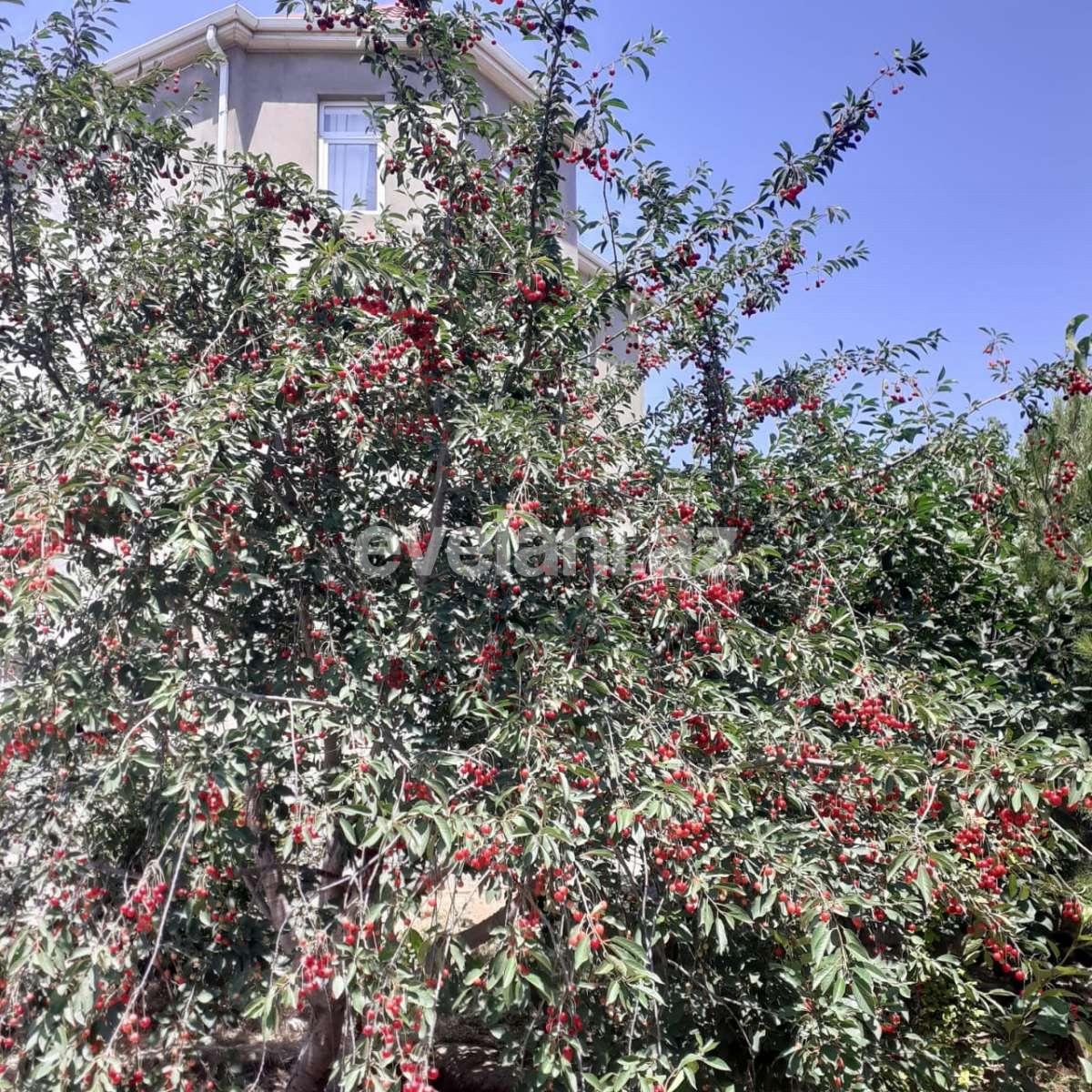 Satılır, villa, 5 otaqlı, 270 m², Maştağa q.