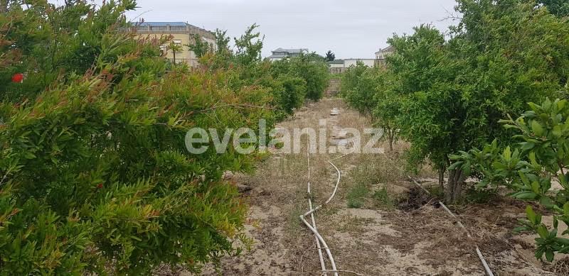 Satılır, torpaq, 24 sot, Görədil q.