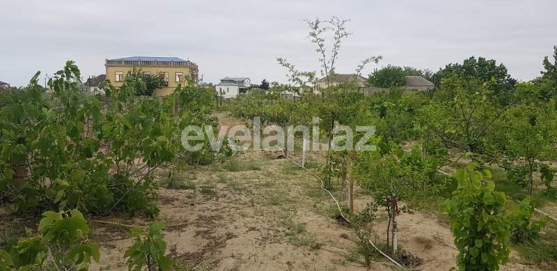 Satılır, torpaq, 24 sot, Görədil q.