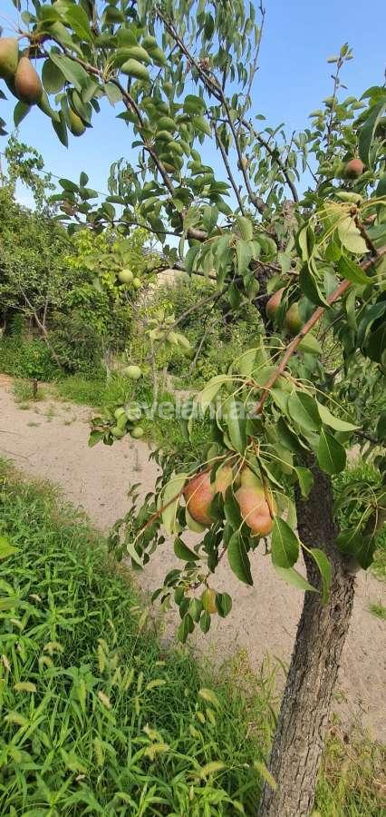 Satılır, həyət evi / bağ, 3 otaqlı, 150 m², Azadlıq prospekti m.