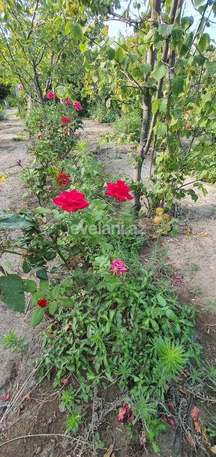 Satılır, həyət evi / bağ, 3 otaqlı, 150 m², Azadlıq prospekti m.