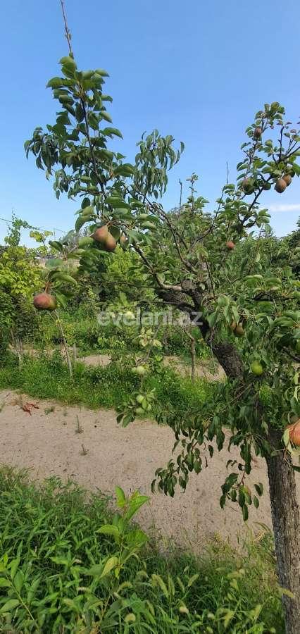 Satılır, həyət evi / bağ, 3 otaqlı, 150 m², Azadlıq prospekti m.