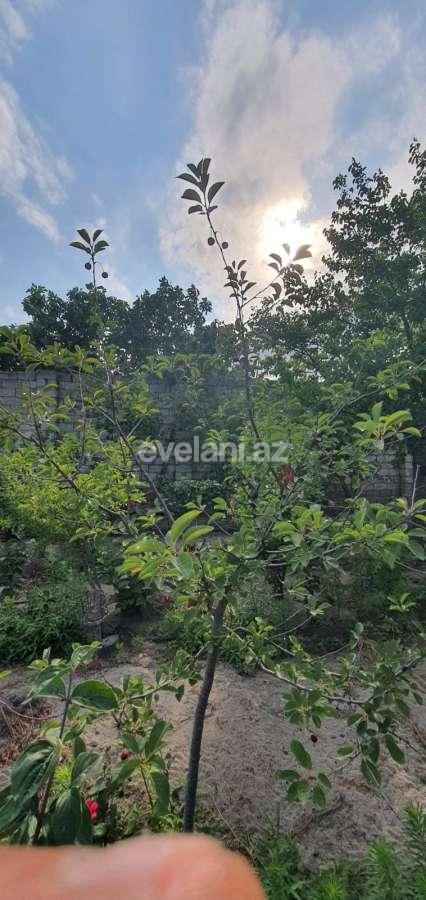 Satılır, həyət evi / bağ, 3 otaqlı, 150 m², Azadlıq prospekti m.