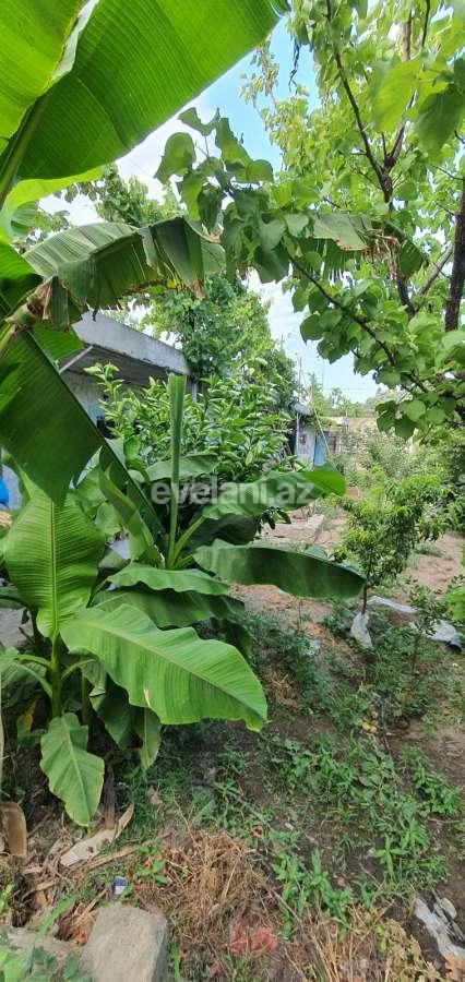 Satılır, həyət evi / bağ, 3 otaqlı, 150 m², Azadlıq prospekti m.