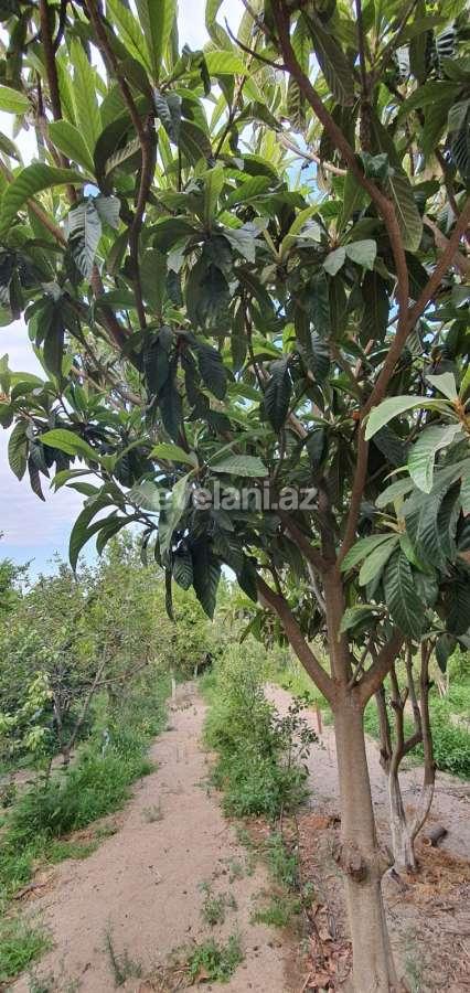 Satılır, həyət evi / bağ, 3 otaqlı, 150 m², Azadlıq prospekti m.