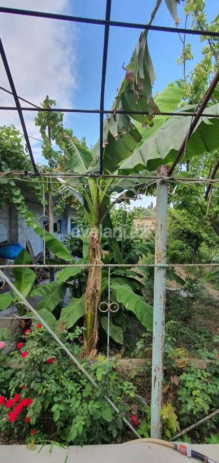 Satılır, həyət evi / bağ, 3 otaqlı, 150 m², Azadlıq prospekti m.