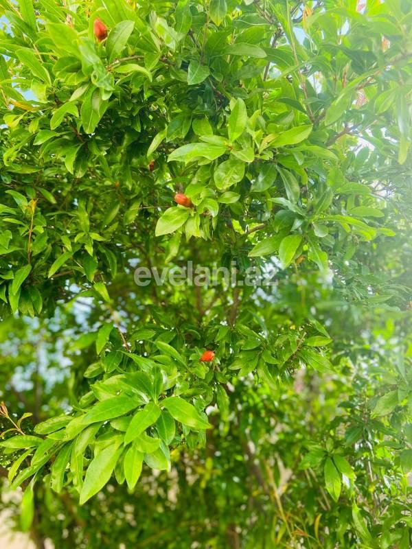 Satılır, villa, 4 otaqlı, 100 m², Novxanı q.