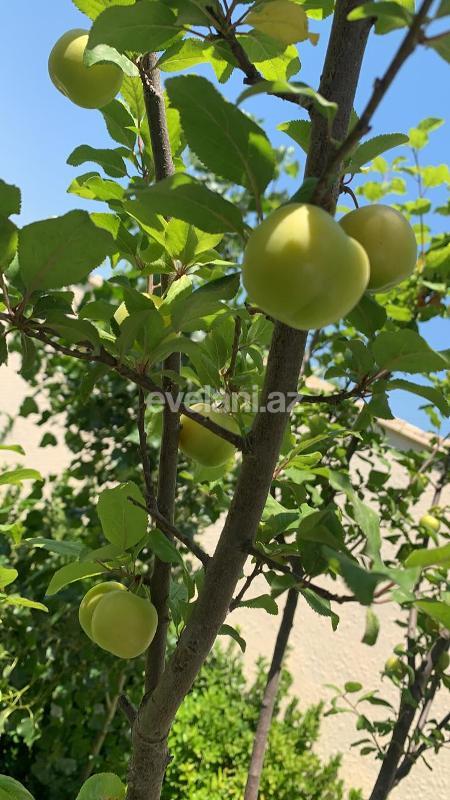 Satılır, villa, 4 otaqlı, 100 m², Novxanı q.