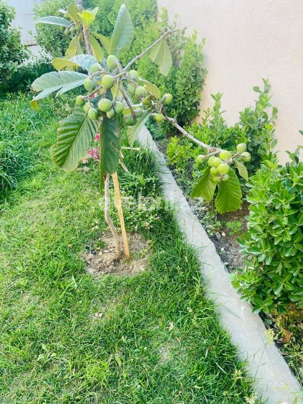 Satılır, villa, 4 otaqlı, 100 m², Novxanı q.