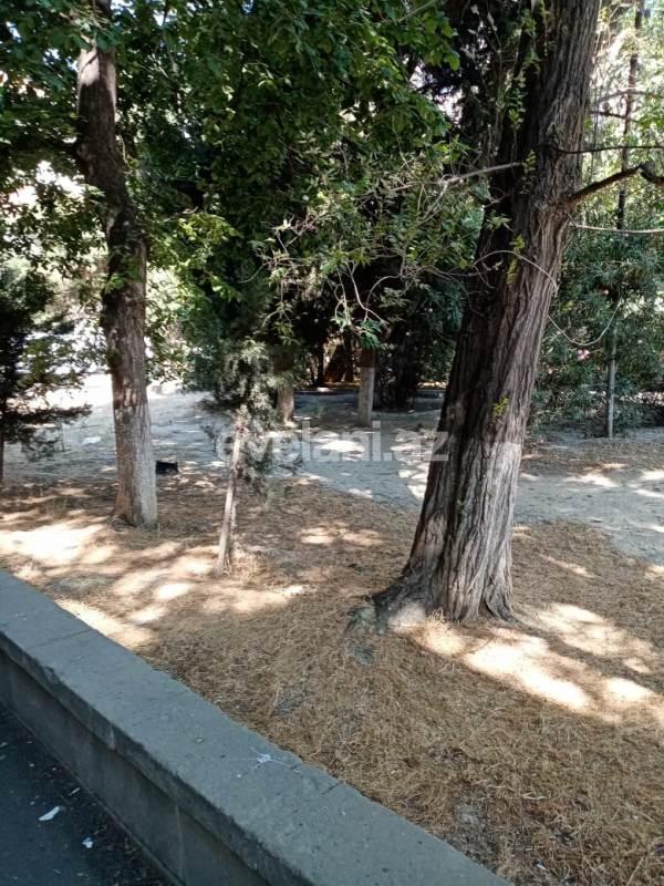 Sale, old building, 2 room, 48 m², Nasimi r.