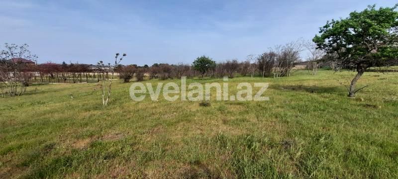 Sale, land, 210 ar, Mardakan d.