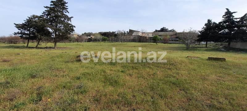 Sale, land, 210 ar, Mardakan d.