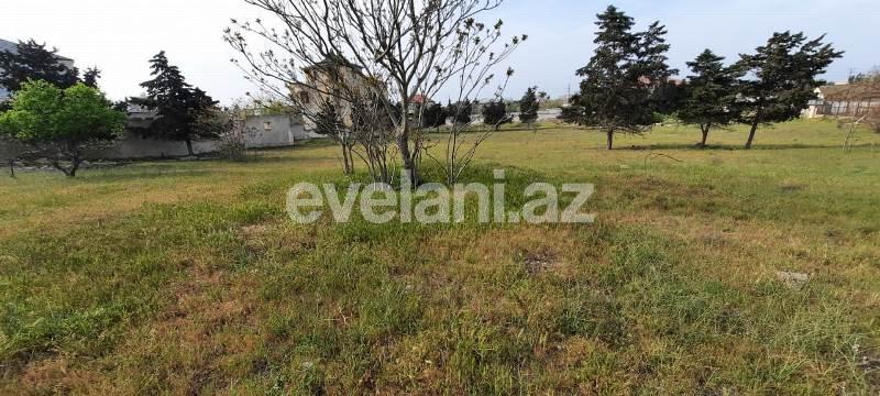 Sale, land, 210 ar, Mardakan d.