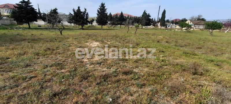 Sale, land, 210 ar, Mardakan d.