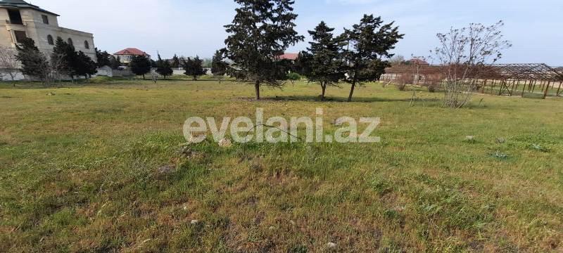 Sale, land, 210 ar, Mardakan d.