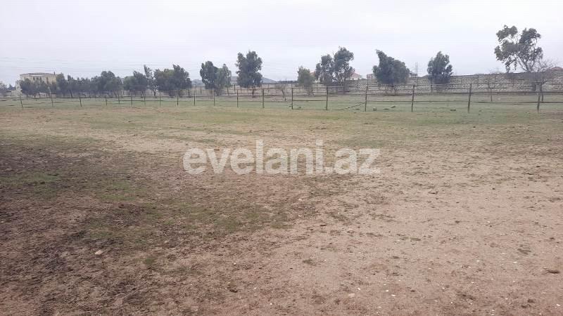 Satılır, torpaq, 500 sot, Buzovna q.