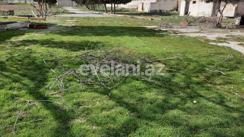 Satılır, torpaq, 500 sot, Buzovna q.