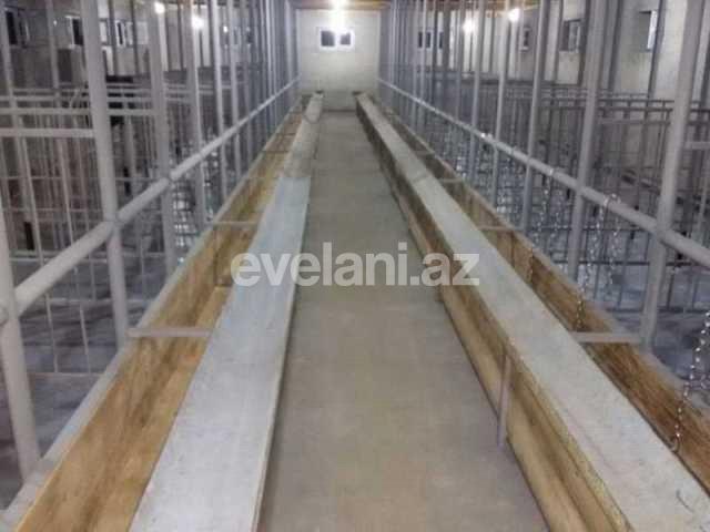 Sale, object, 160 m², Shamakhi