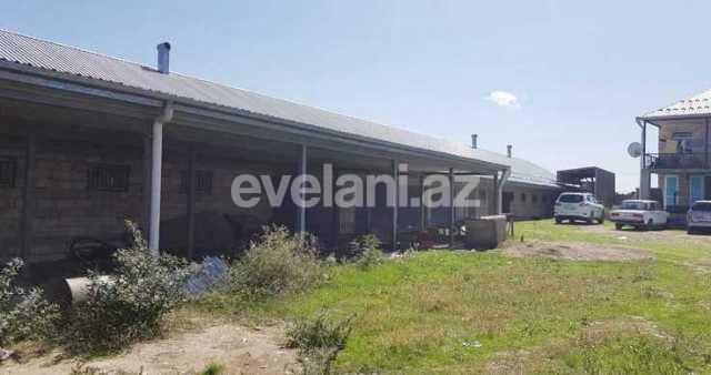 Sale, object, 160 m², Shamakhi