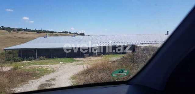 Sale, object, 160 m², Shamakhi