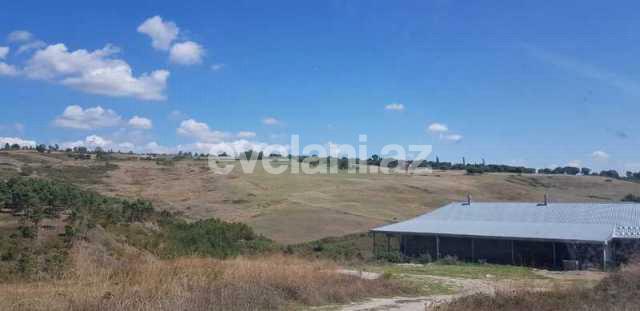 Sale, object, 160 m², Shamakhi