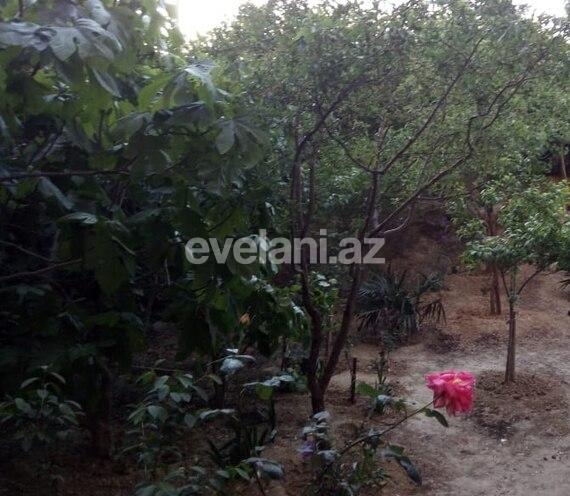 Satılır, köhnə tikili, 3 otaqlı, 60 m², Nəsimi m.