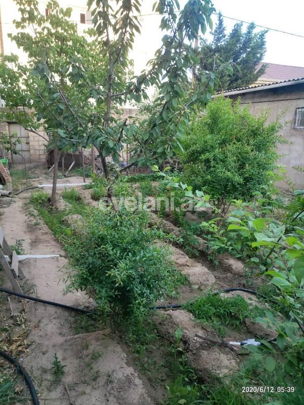 Sale, garden / house, 5 room, 288 m², Bilajari d.