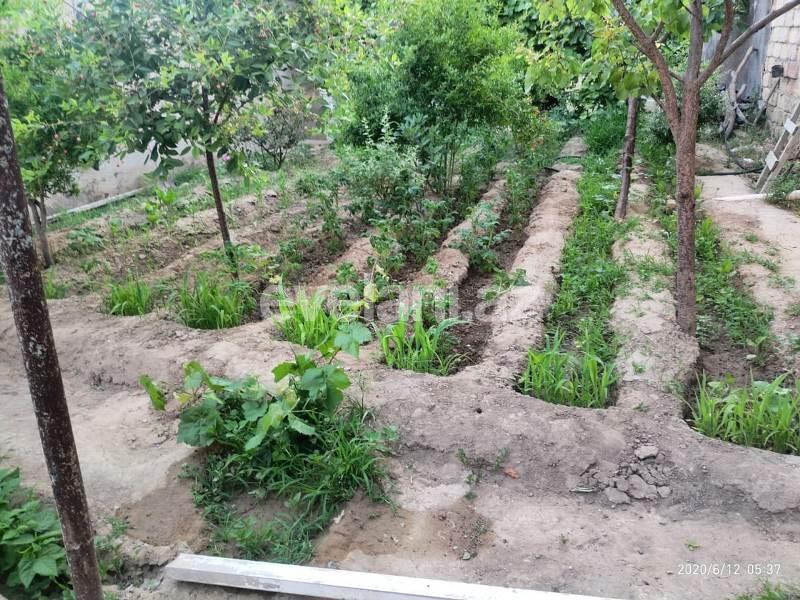 Sale, garden / house, 5 room, 288 m², Bilajari d.