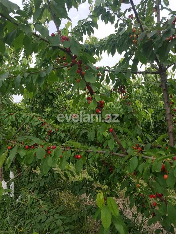 Satılır, həyət evi / bağ, 8 otaqlı, 800 m², Bakı, Sabunçu r, Maştağa q.