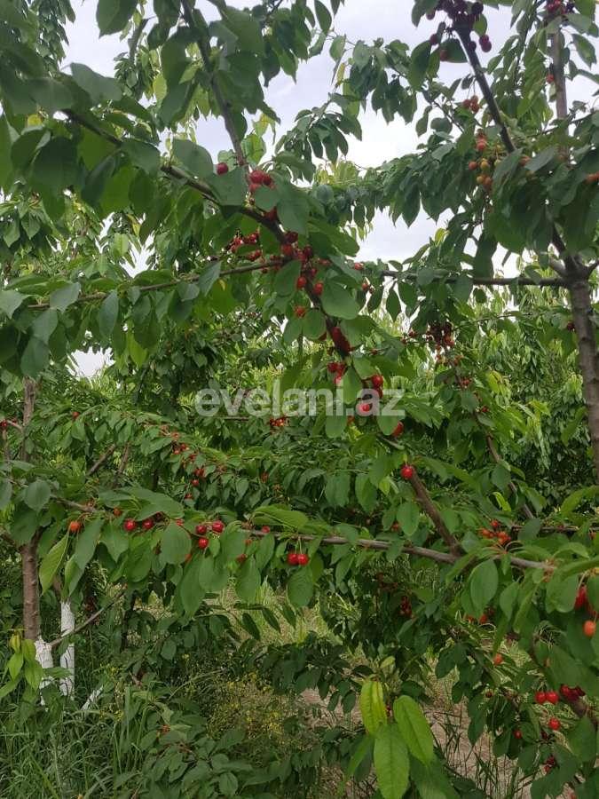 Satılır, həyət evi / bağ, 8 otaqlı, 800 m², Bakı, Sabunçu r, Maştağa q.