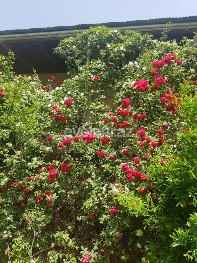 Satılır, həyət evi / bağ, 8 otaqlı, 800 m², Bakı, Sabunçu r, Maştağa q.