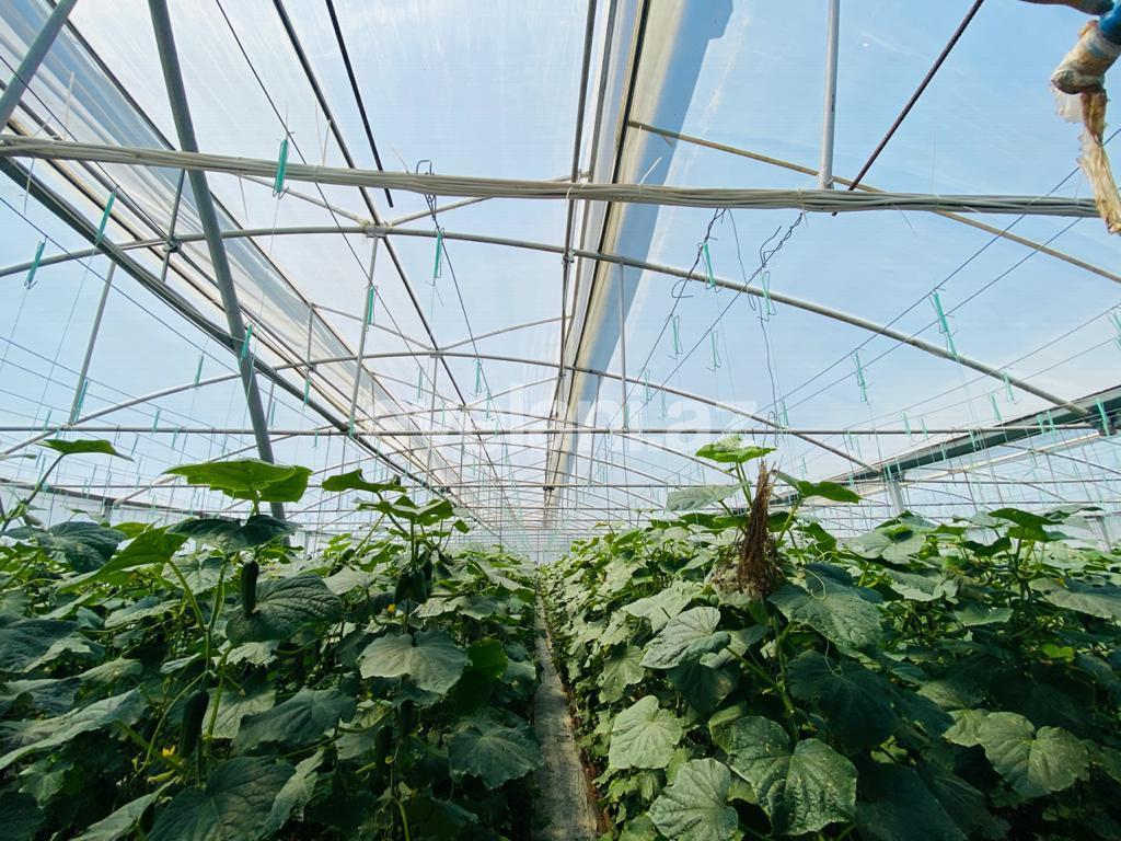 Satılır, obyekt, 1000 m², Bakı, Sabunçu r, Ramana q.