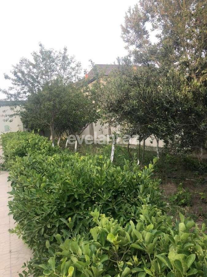 Kirayə verilir, villa, 6 otaqlı, 186 m², Bakı, Qaradağ r, Şıxov q.